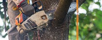  Bend, OR Tree Services Pros