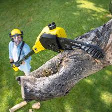 Trusted Bend, OR  Tree Services Experts